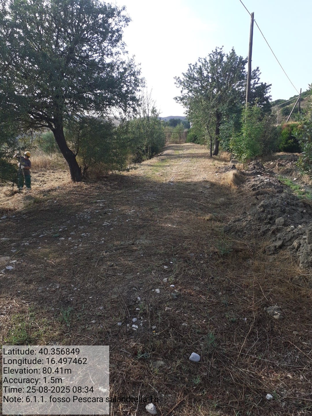 Galleria Fotografica Immagine