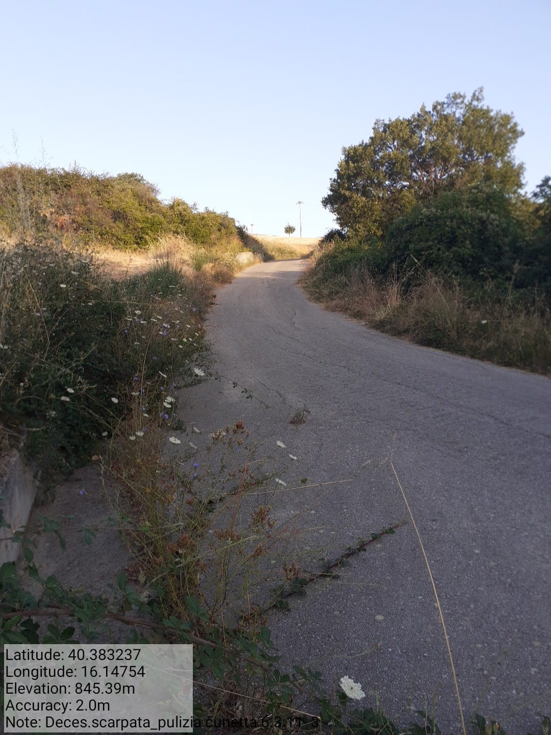 Galleria Fotografica Immagine