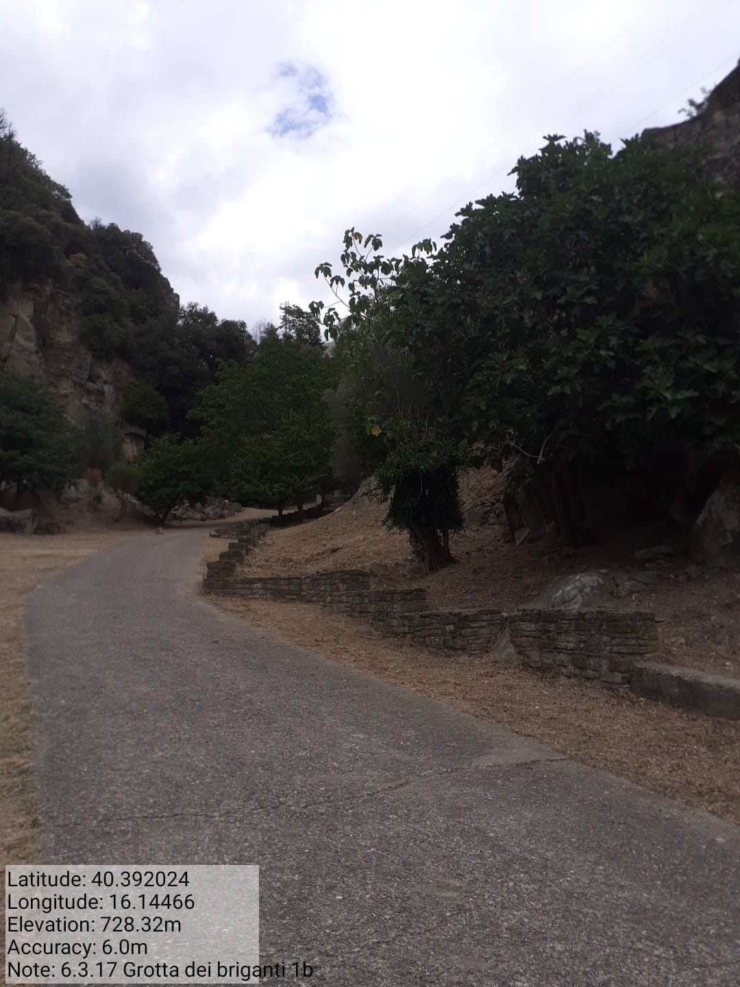 Galleria Fotografica Immagine