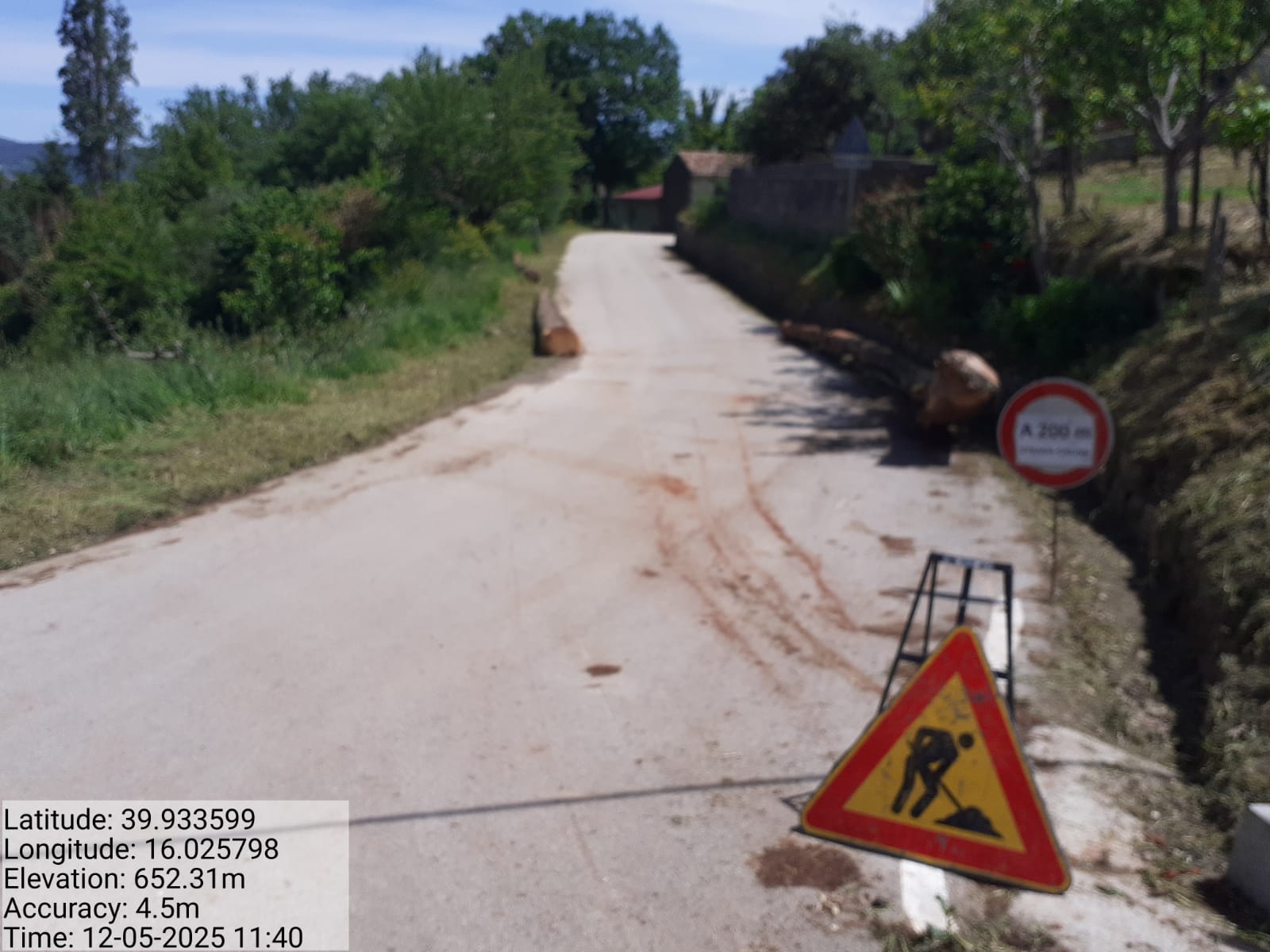 Galleria Fotografica Immagine