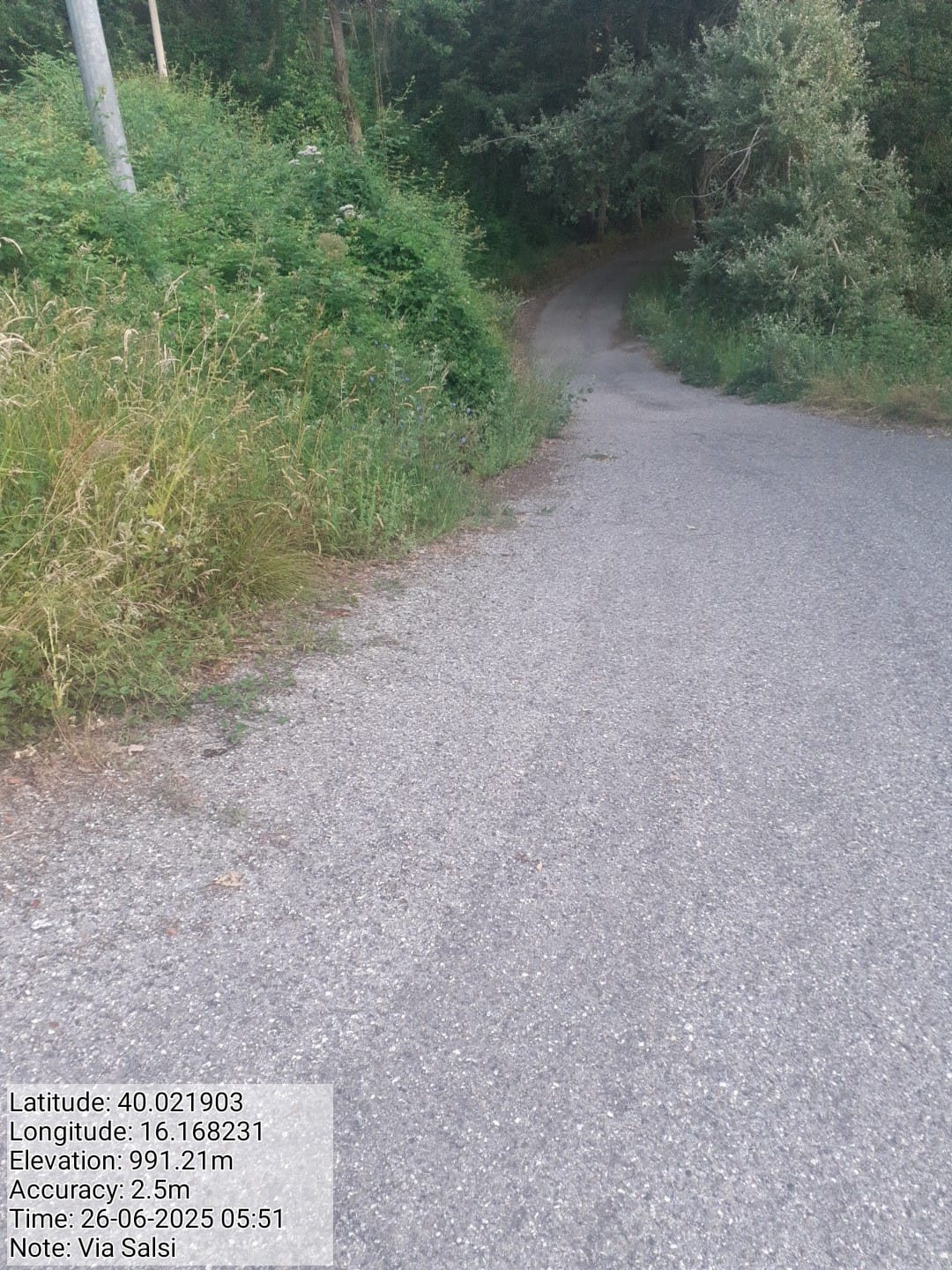 Galleria Fotografica Immagine