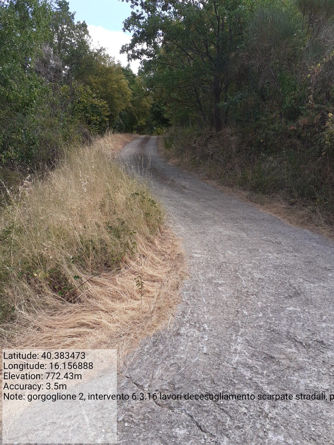 Galleria Fotografica Immagine