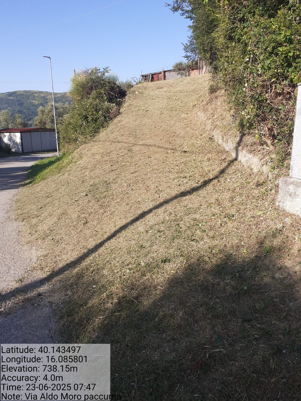 Galleria Fotografica Immagine