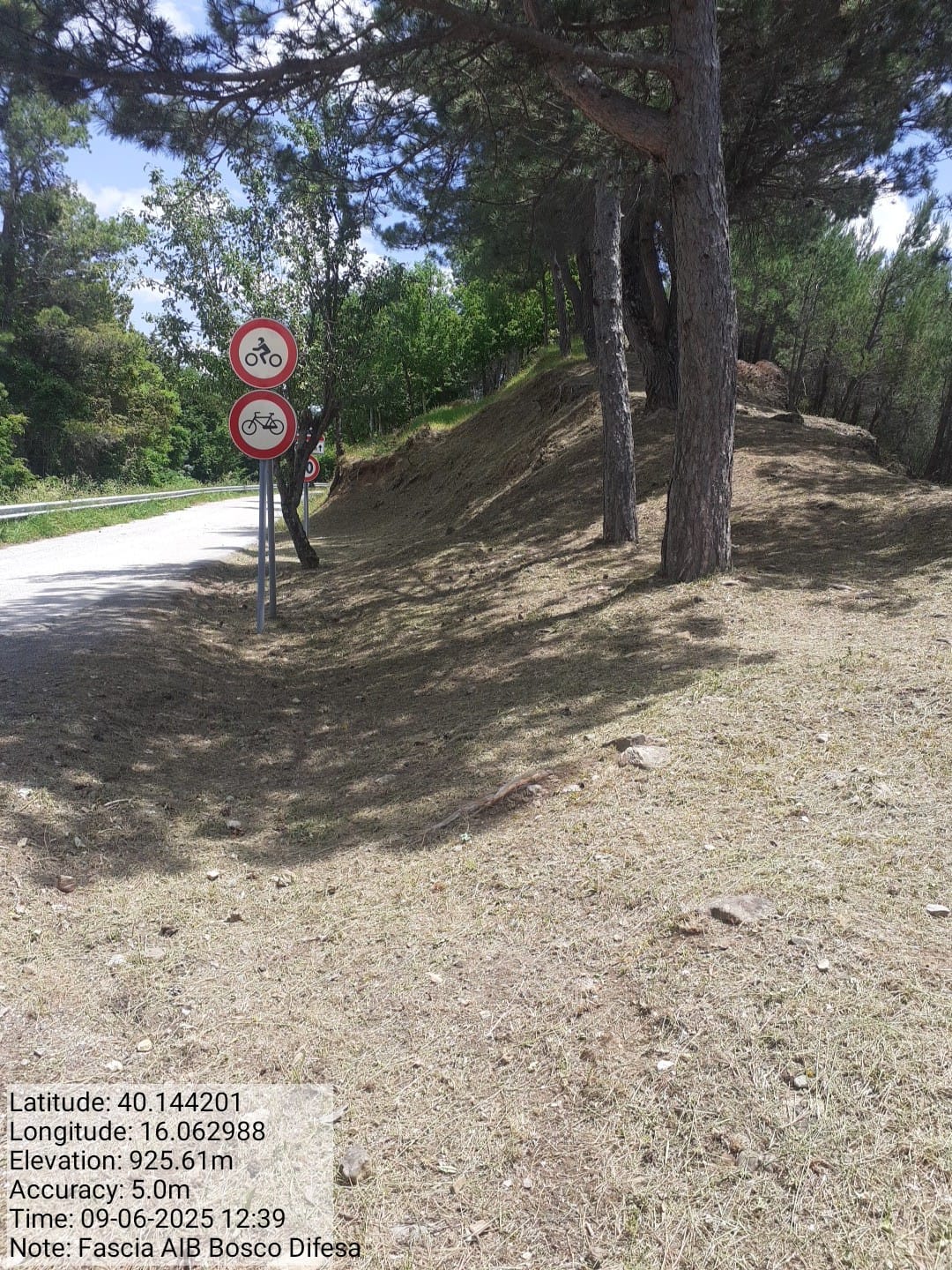 Galleria Fotografica Immagine