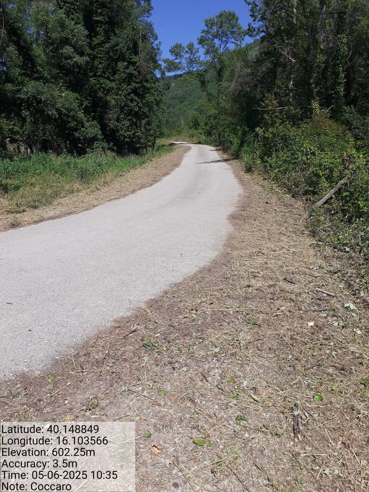 Galleria Fotografica Immagine