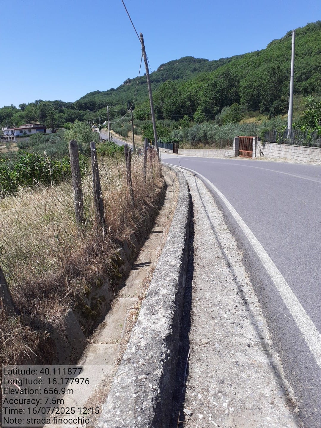 Galleria Fotografica Immagine