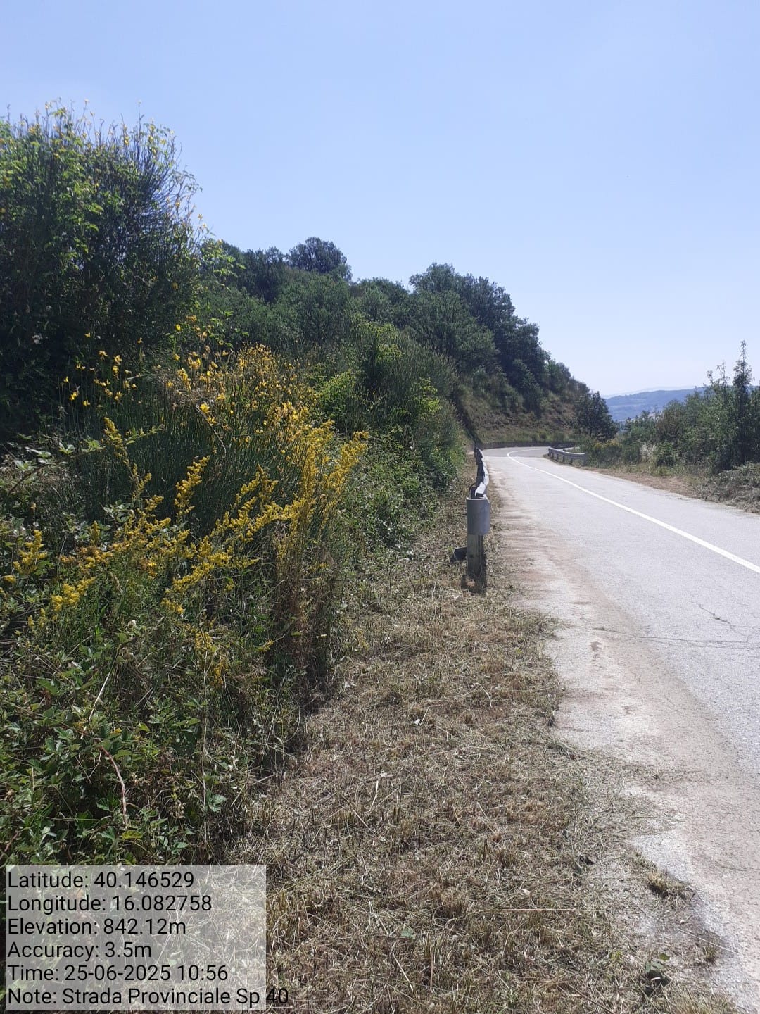 Galleria Fotografica Immagine