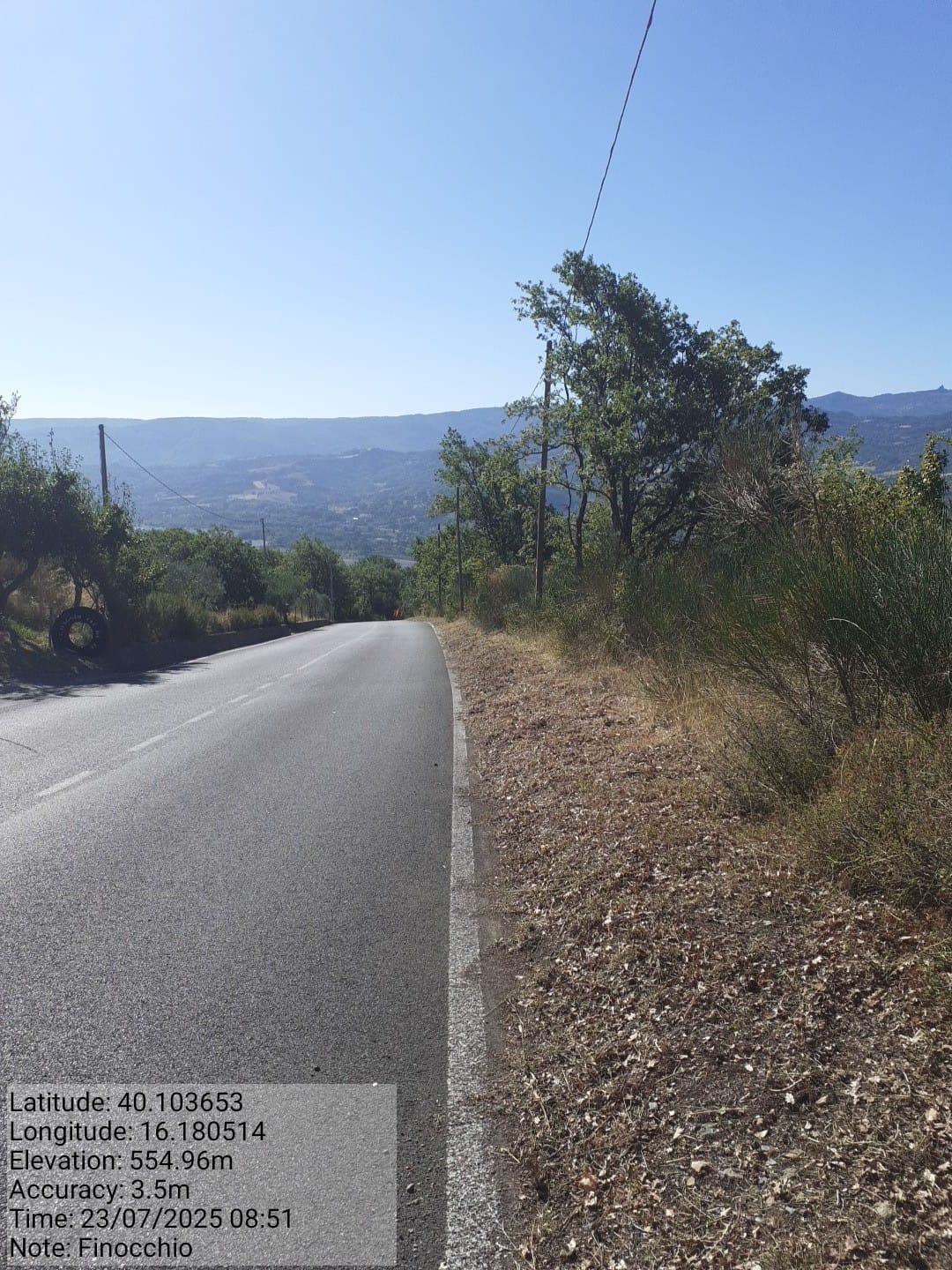 Galleria Fotografica Immagine