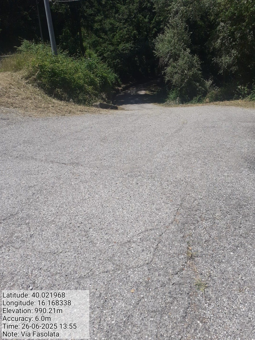 Galleria Fotografica Immagine