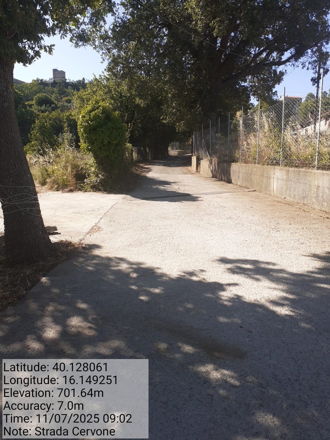 Galleria Fotografica Immagine