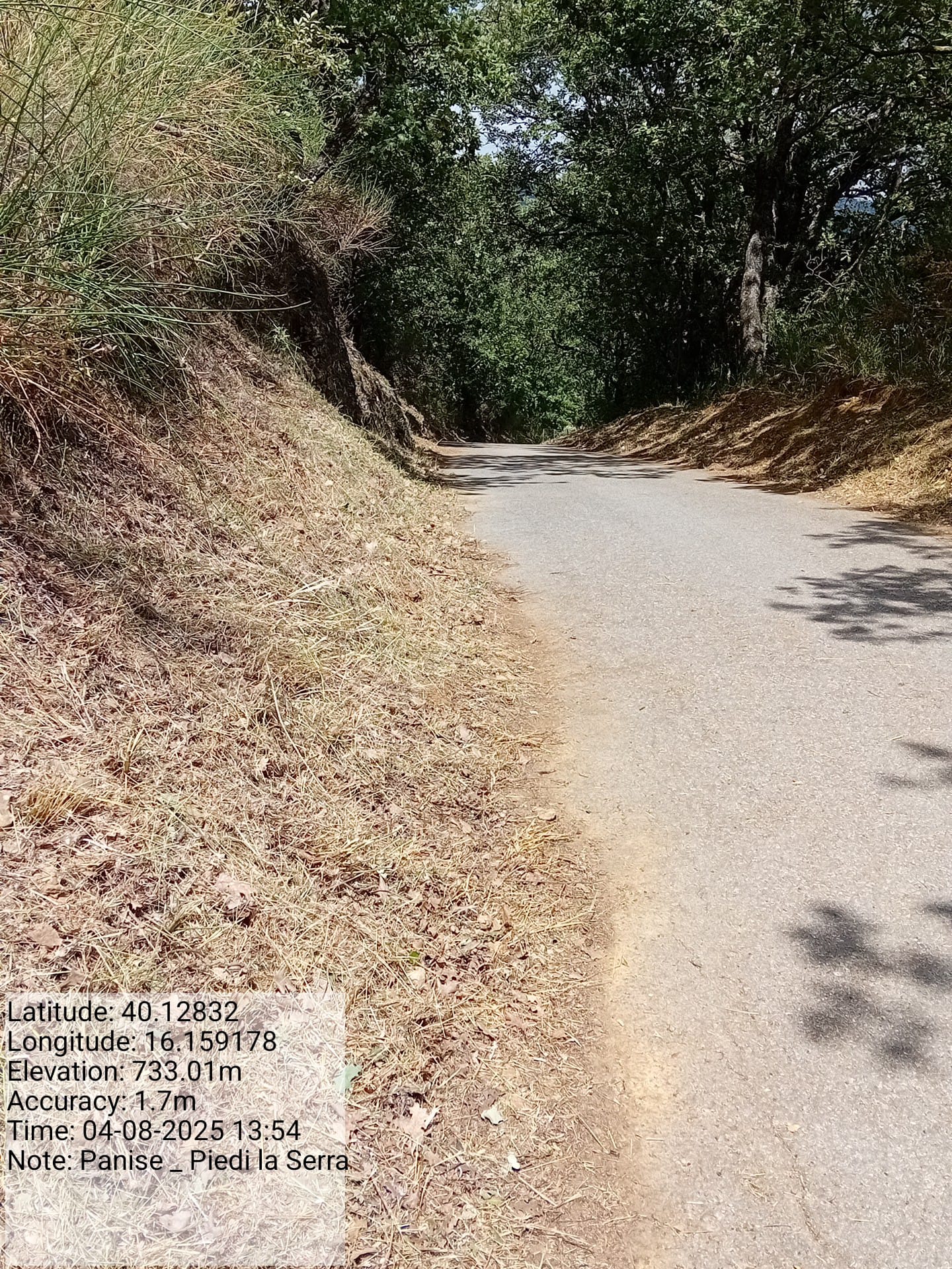 Galleria Fotografica Immagine