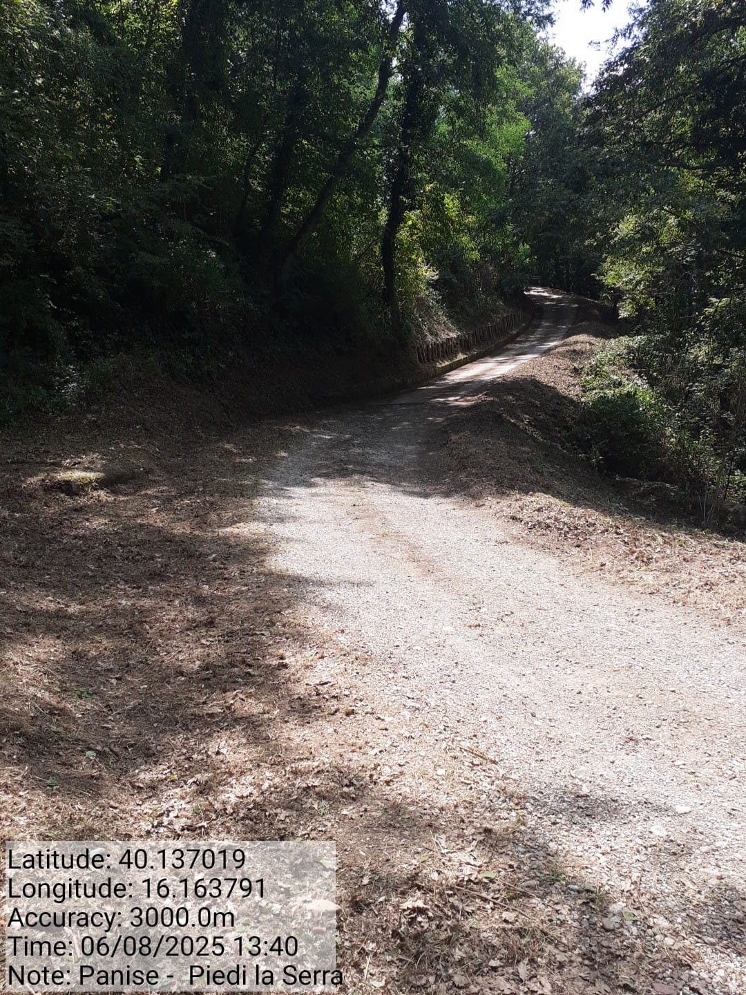 Galleria Fotografica Immagine