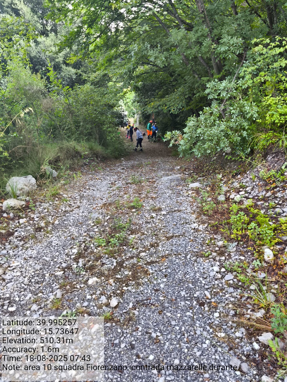 Galleria Fotografica Immagine