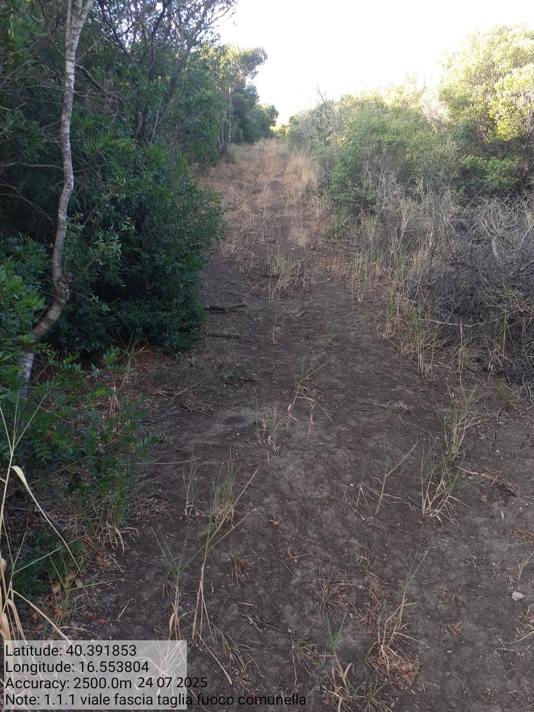 Galleria Fotografica Immagine