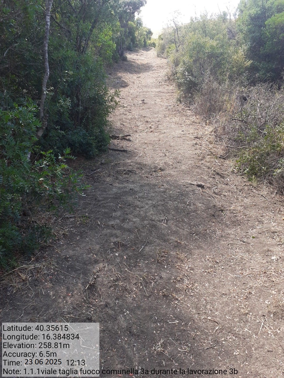 Galleria Fotografica Immagine