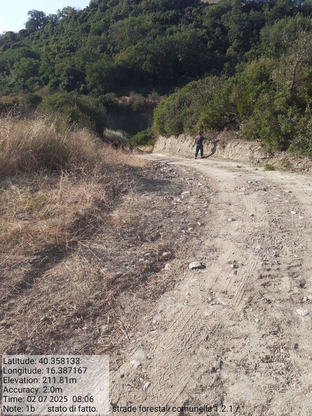 Galleria Fotografica Immagine