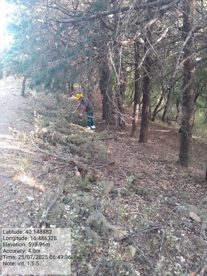 Galleria Fotografica Immagine