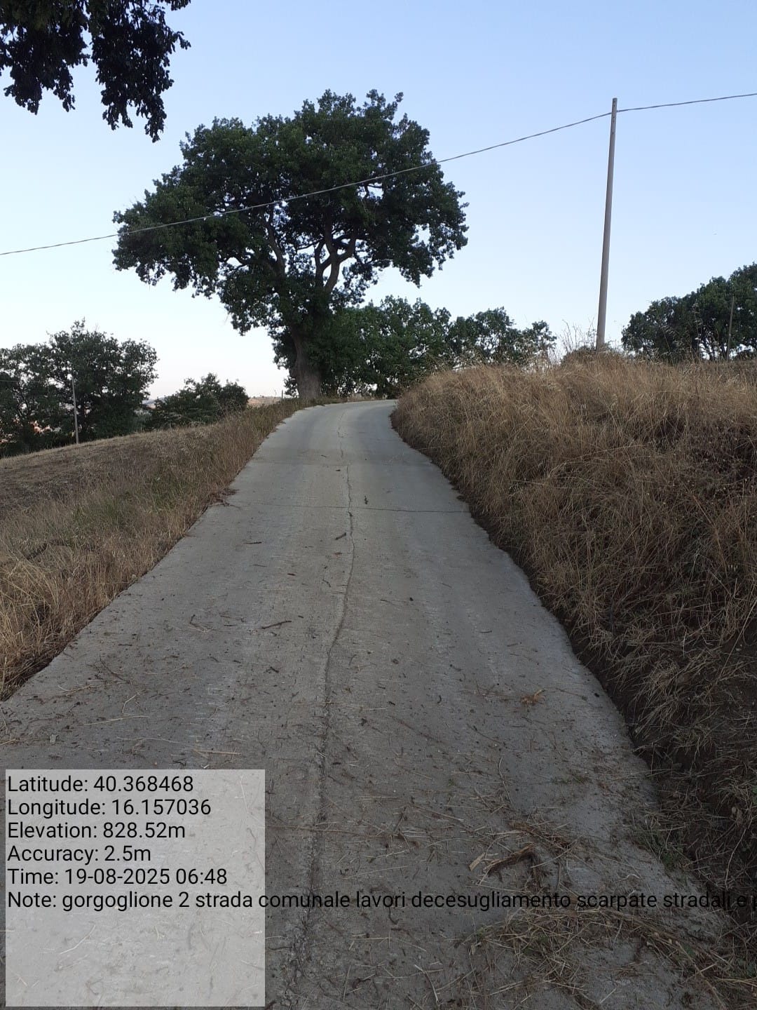 Galleria Fotografica Immagine