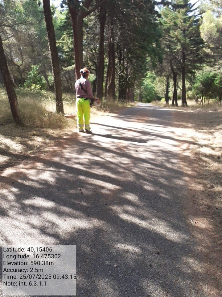 Galleria Fotografica Immagine