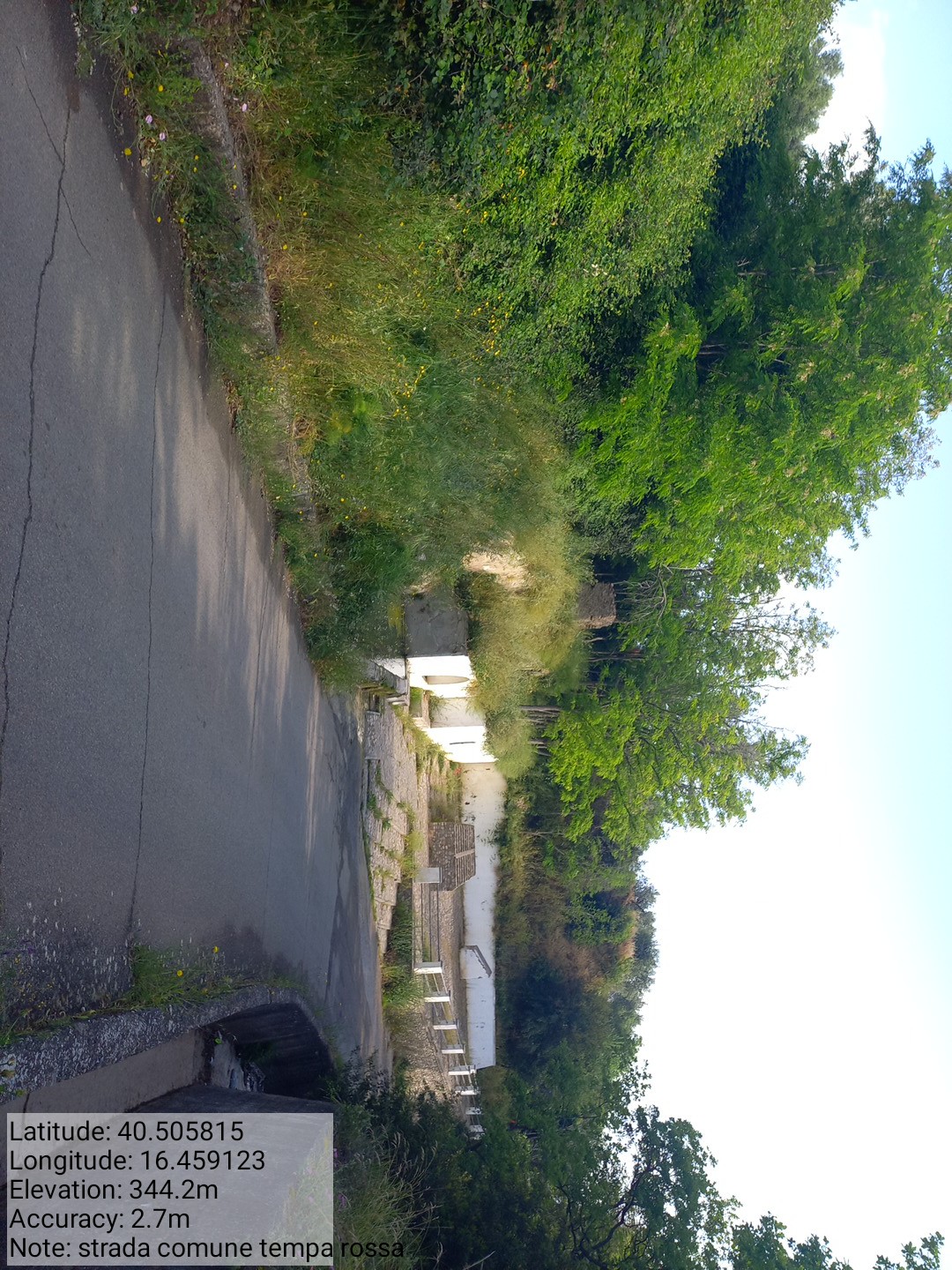 Galleria Fotografica Immagine