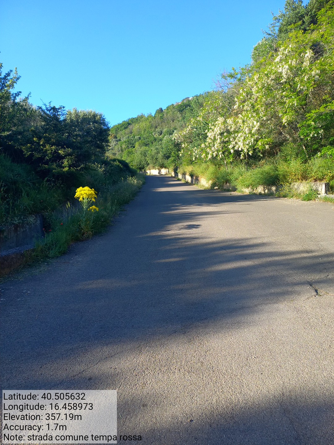 Galleria Fotografica Immagine