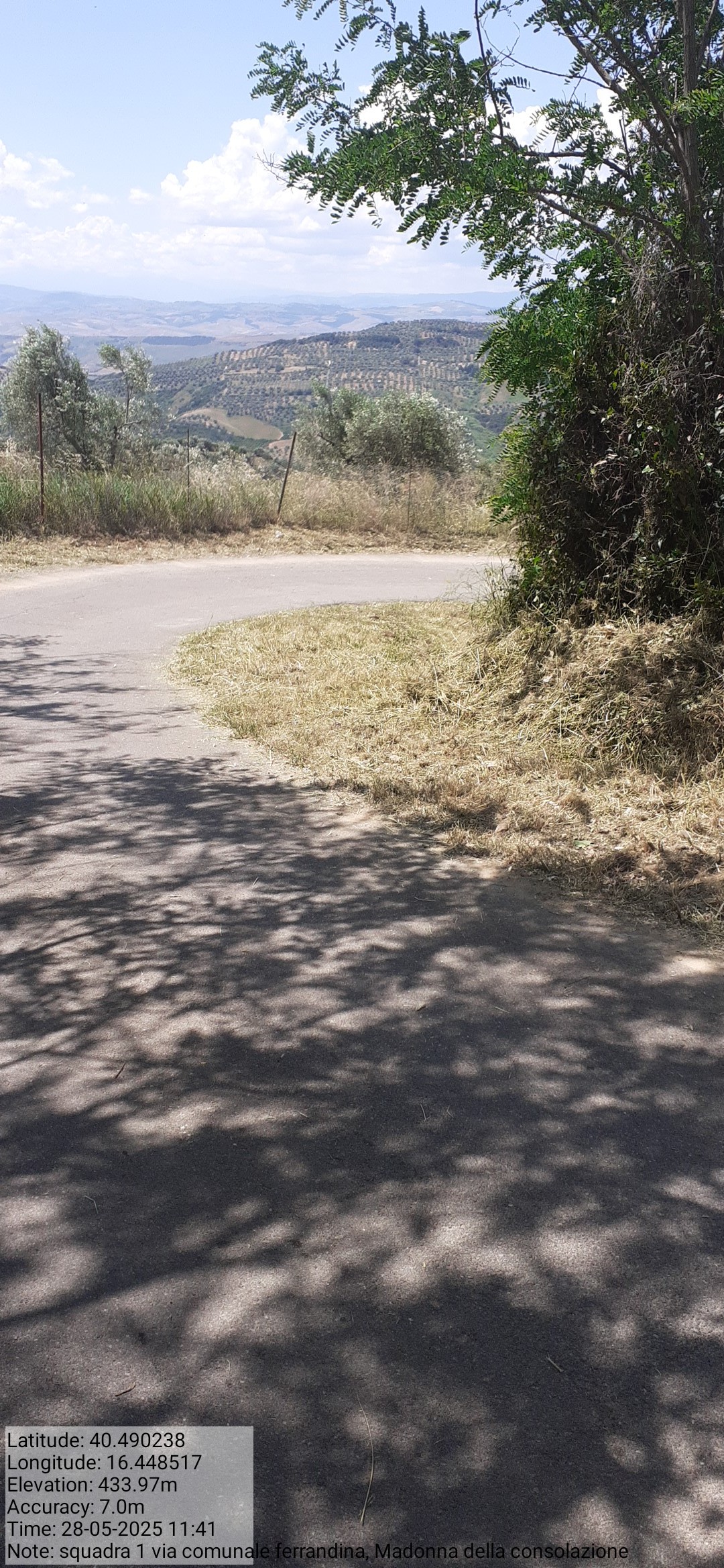 Galleria Fotografica Immagine