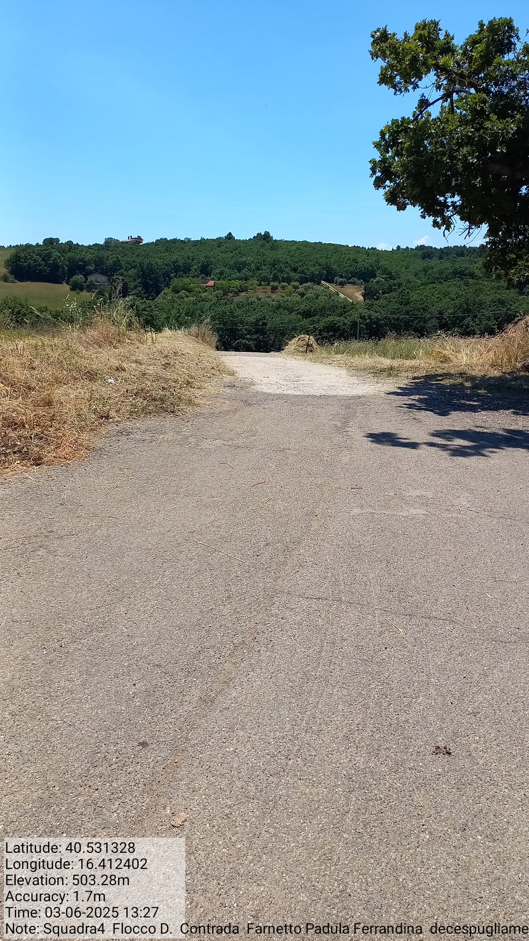 Galleria Fotografica Immagine