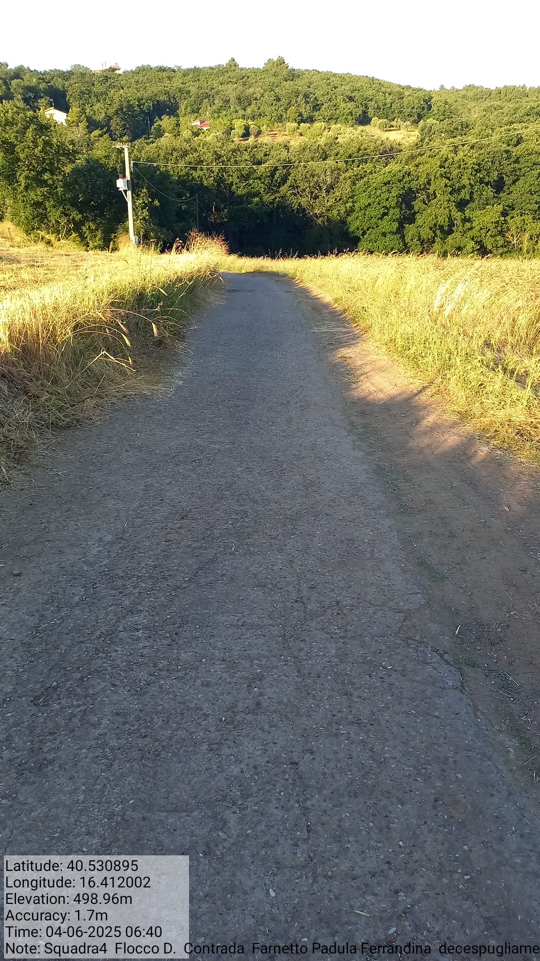 Galleria Fotografica Immagine