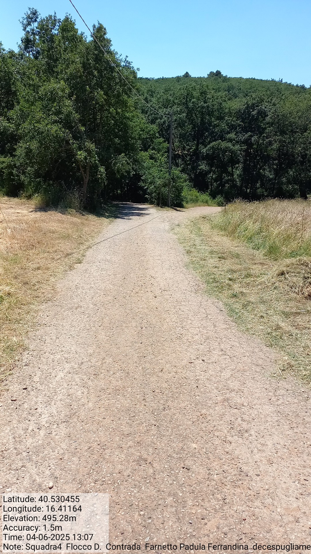 Galleria Fotografica Immagine