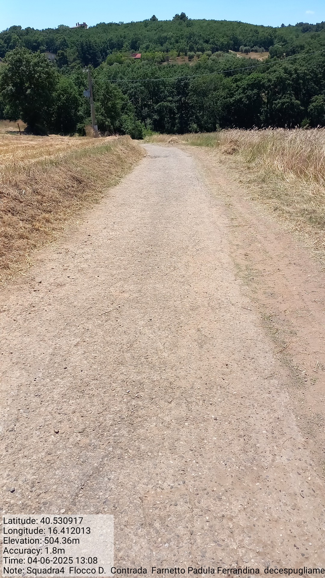 Galleria Fotografica Immagine