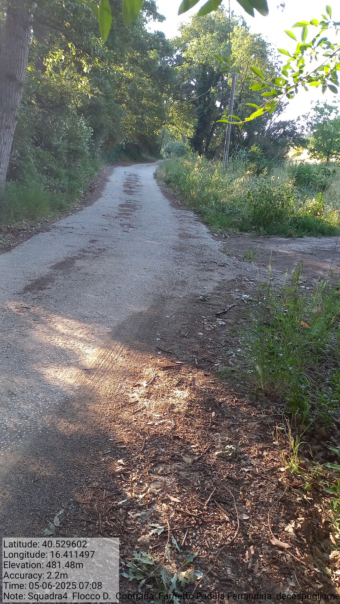 Galleria Fotografica Immagine