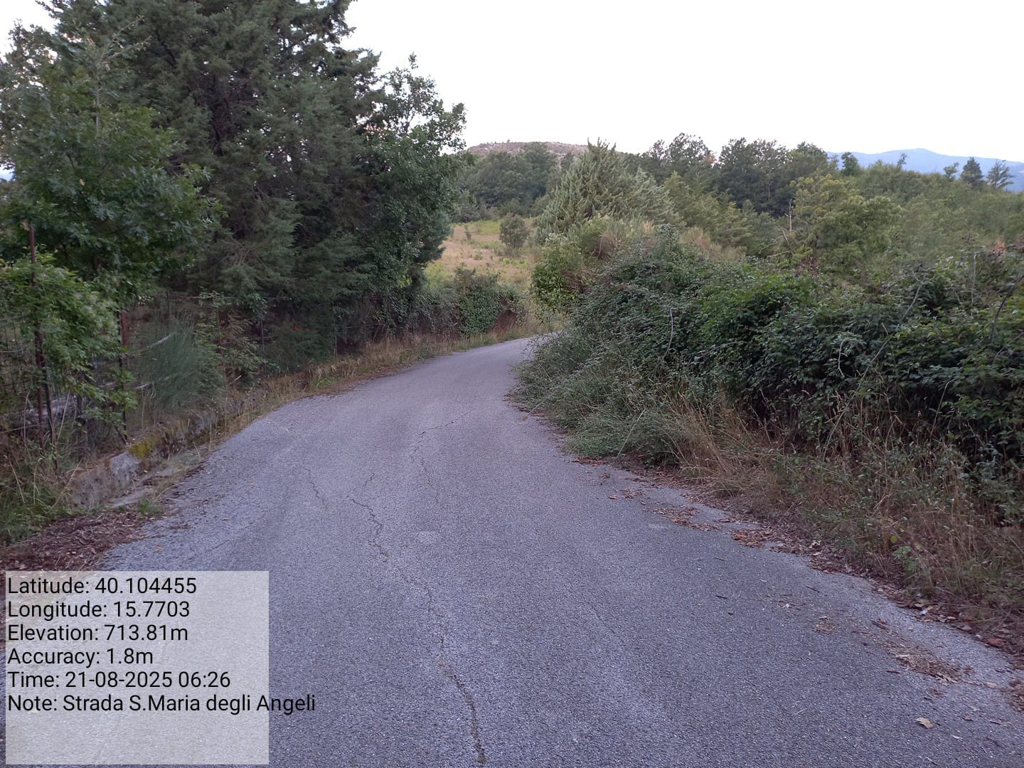 Galleria Fotografica Immagine