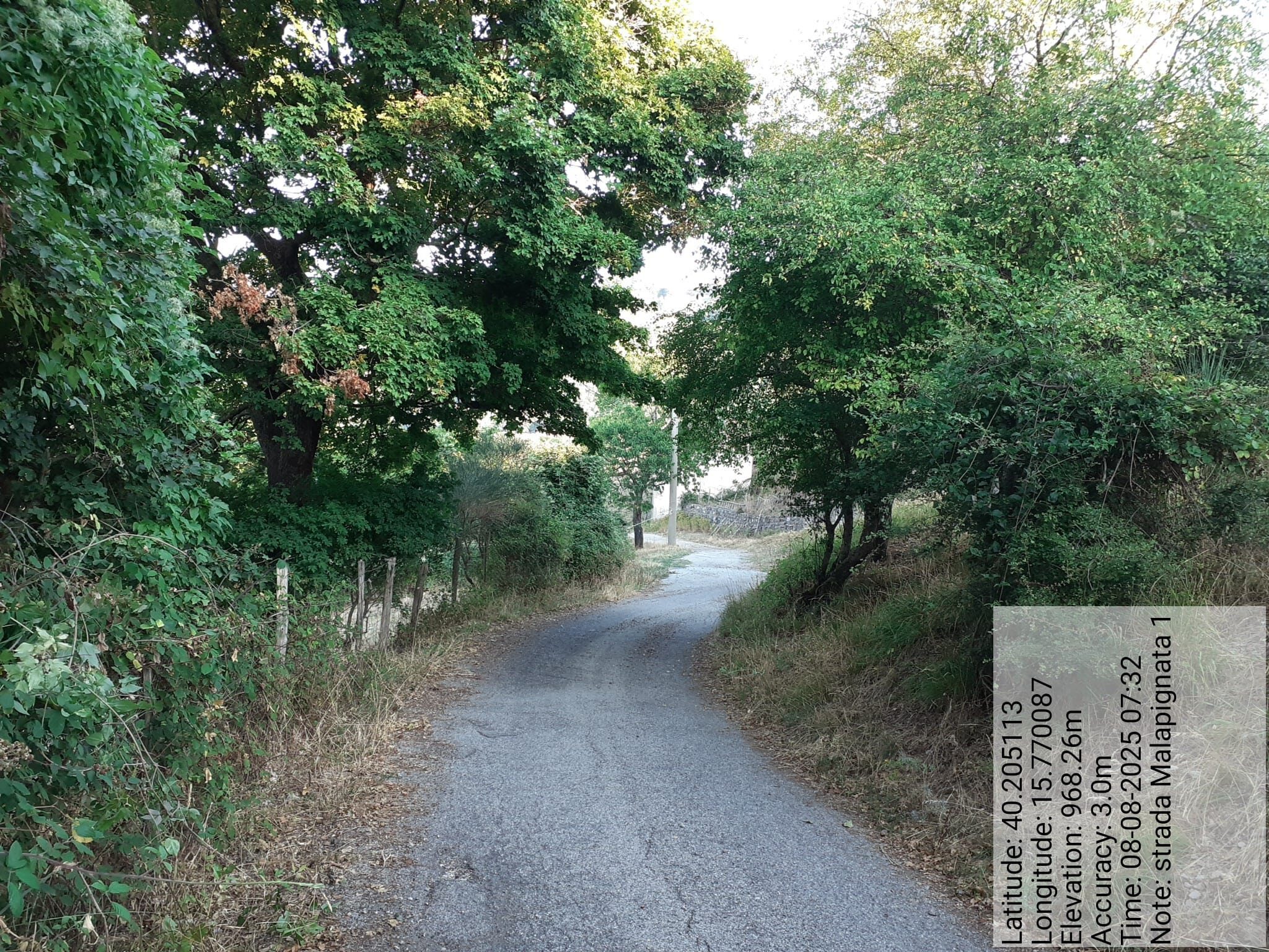 Galleria Fotografica Immagine