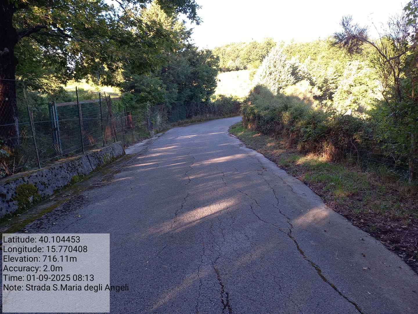 Galleria Fotografica Immagine