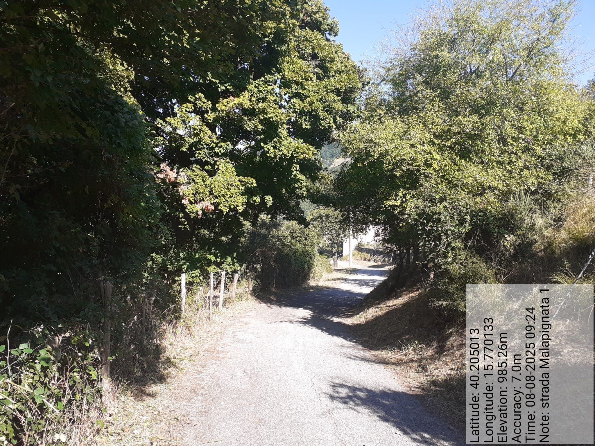 Galleria Fotografica Immagine