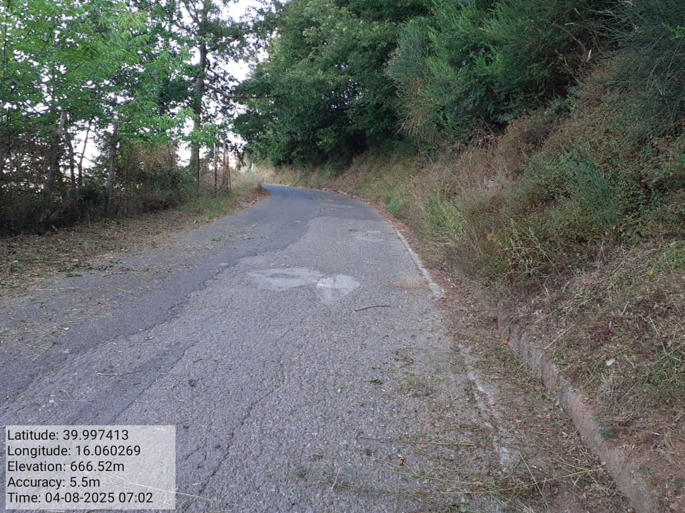 Galleria Fotografica Immagine