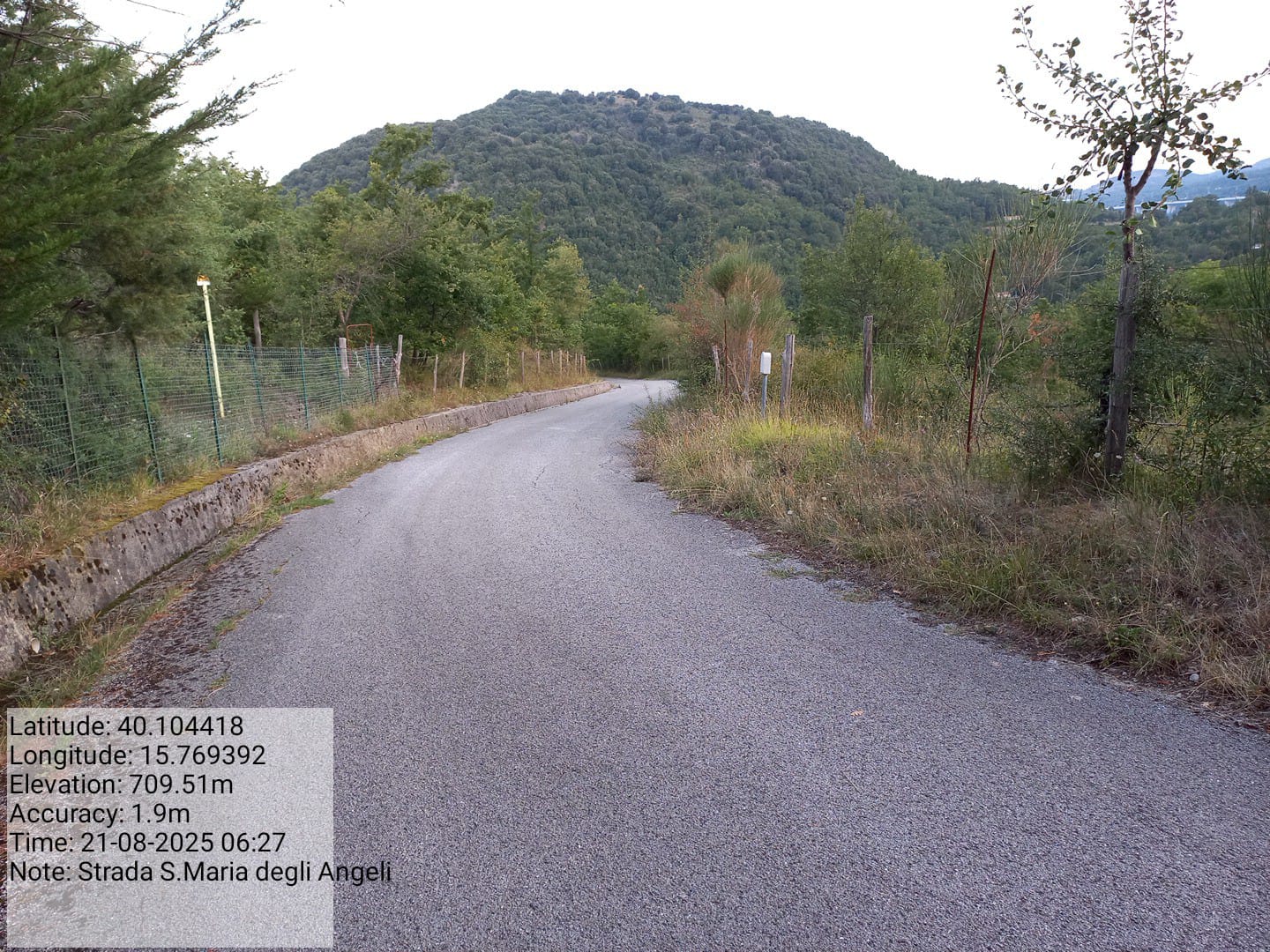 Galleria Fotografica Immagine