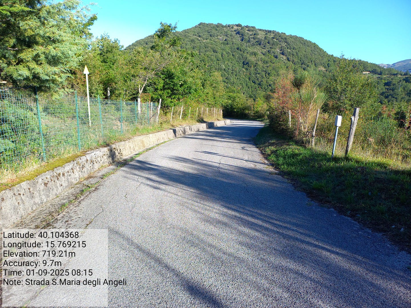 Galleria Fotografica Immagine