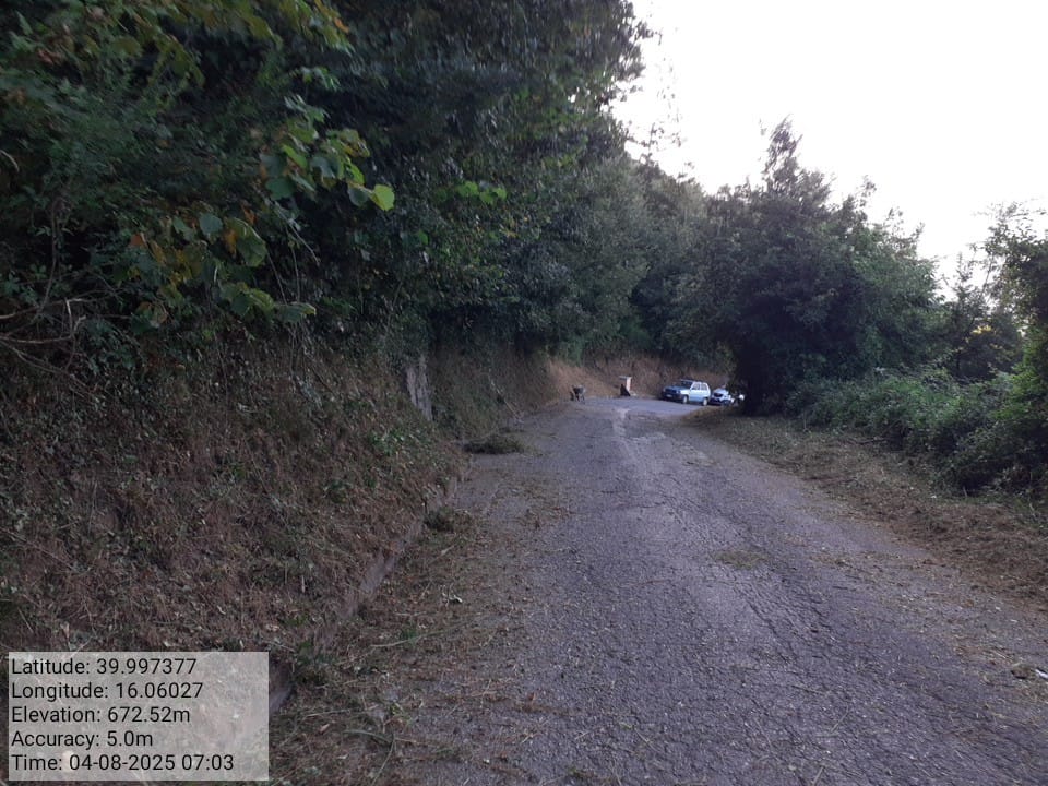 Galleria Fotografica Immagine