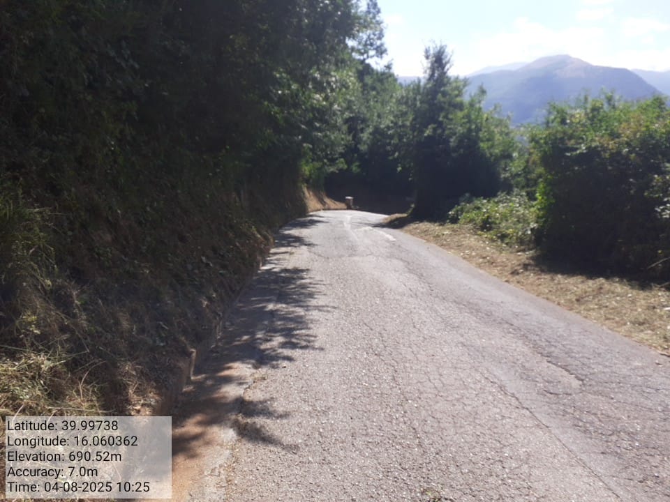 Galleria Fotografica Immagine