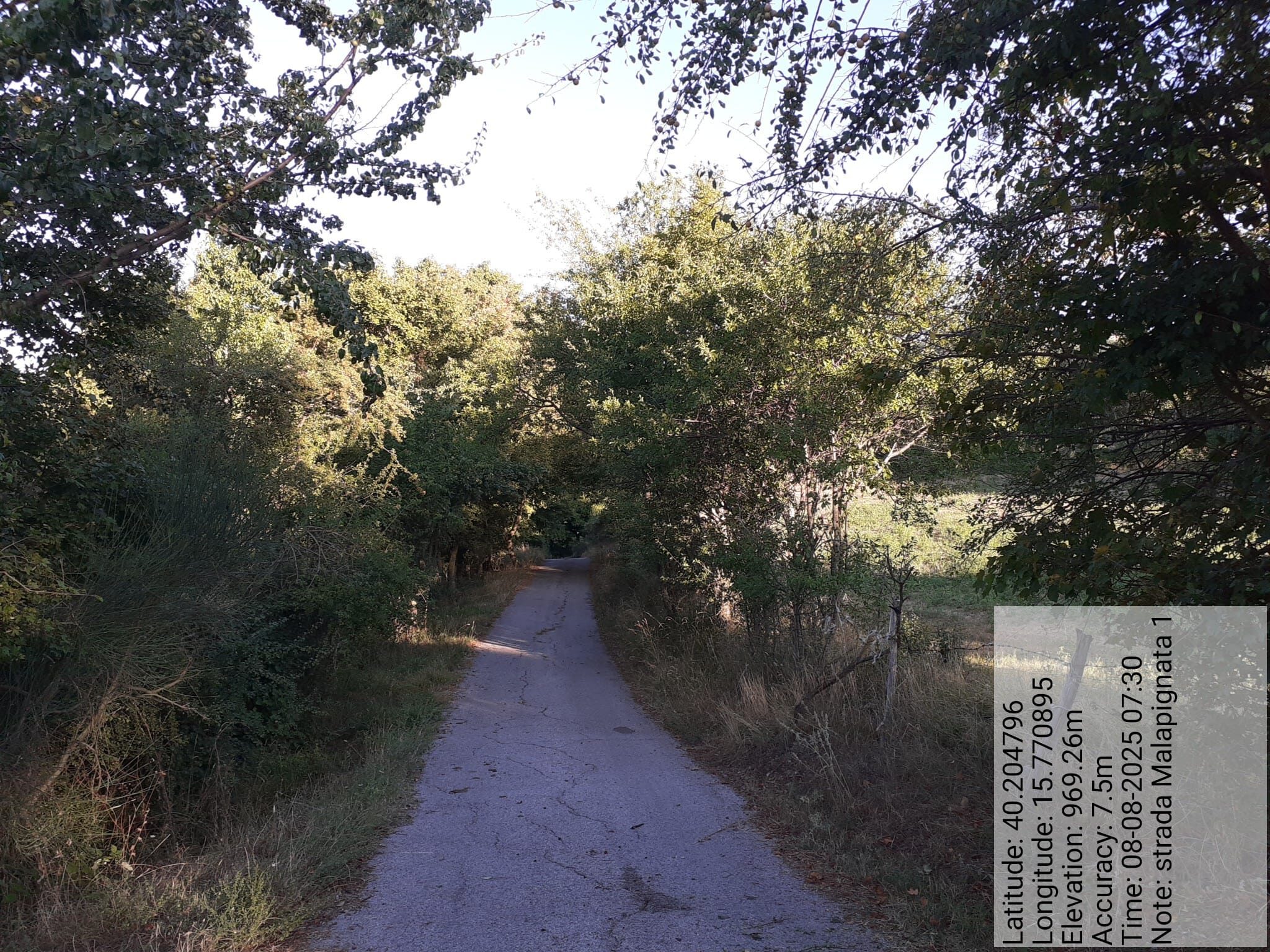 Galleria Fotografica Immagine