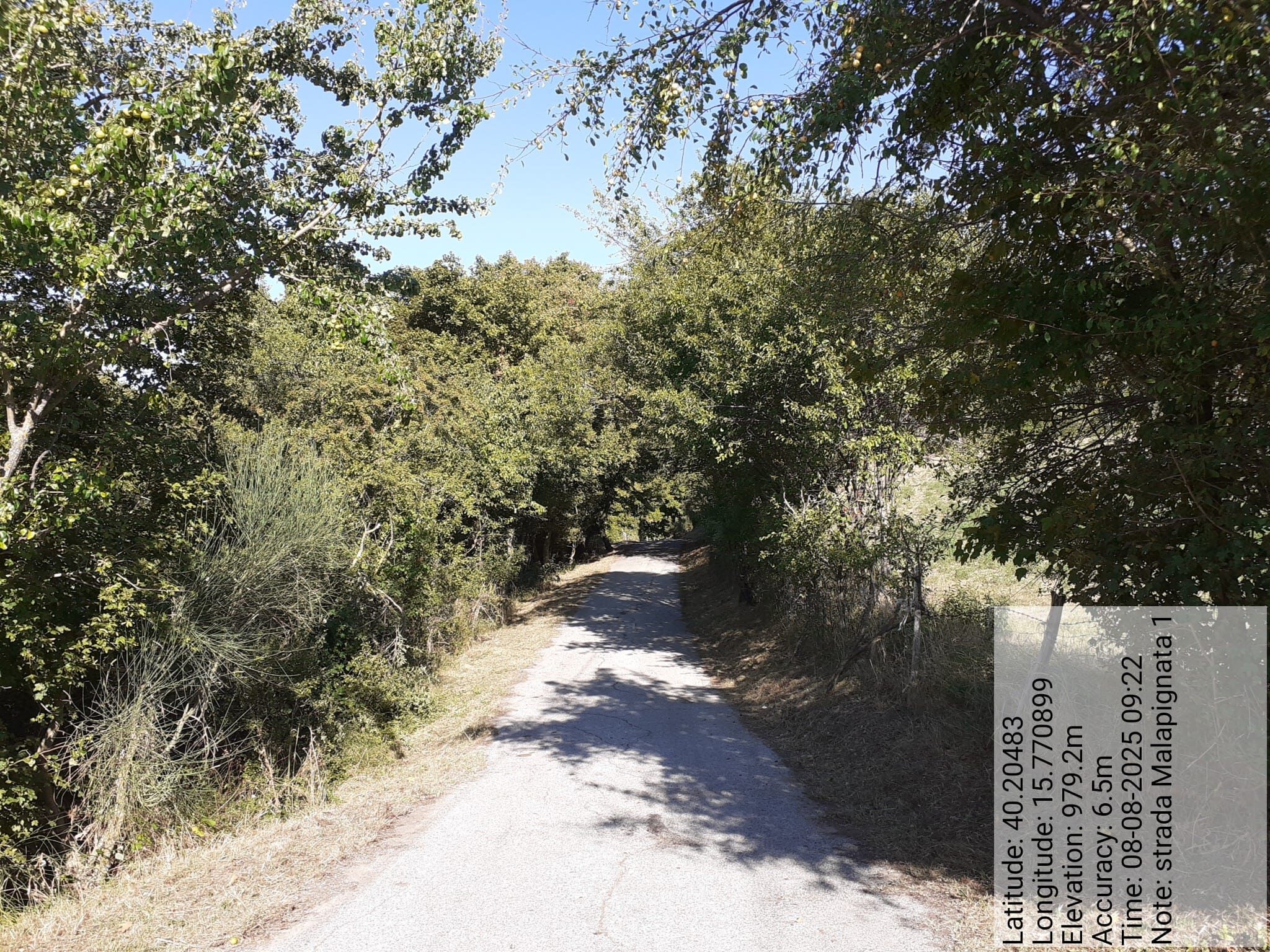 Galleria Fotografica Immagine