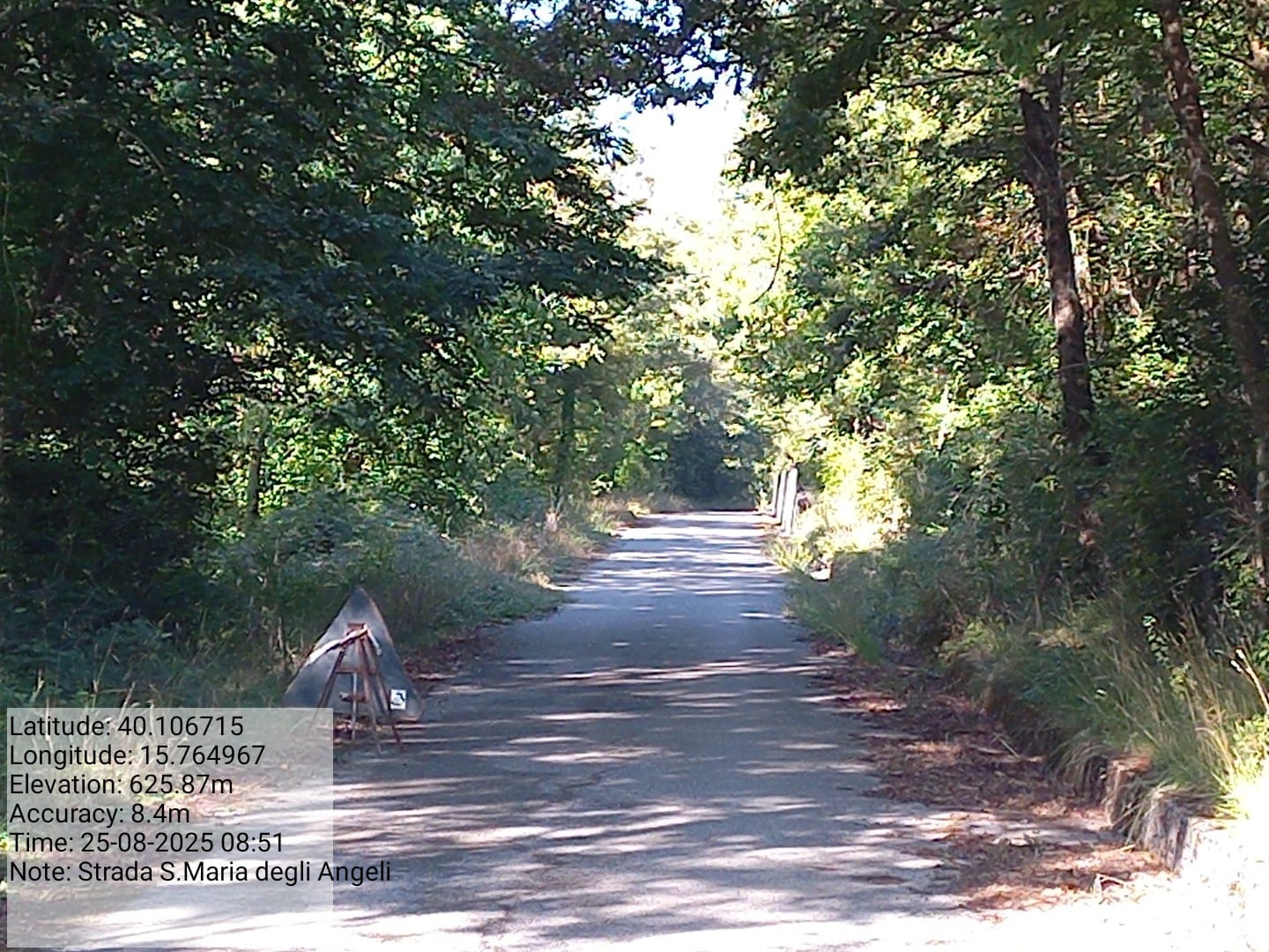 Galleria Fotografica Immagine