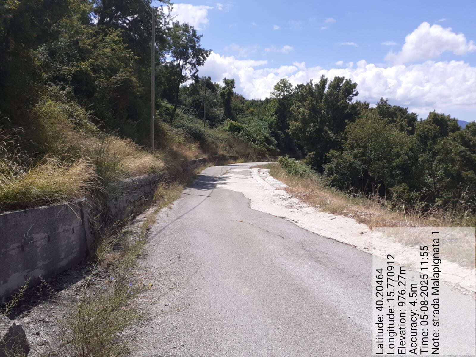 Galleria Fotografica Immagine