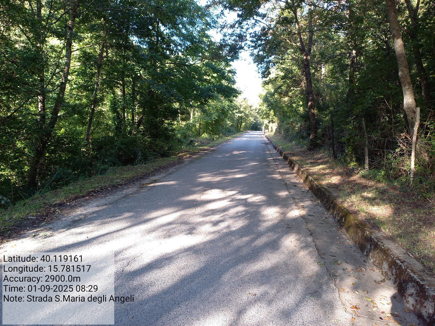 Galleria Fotografica Immagine