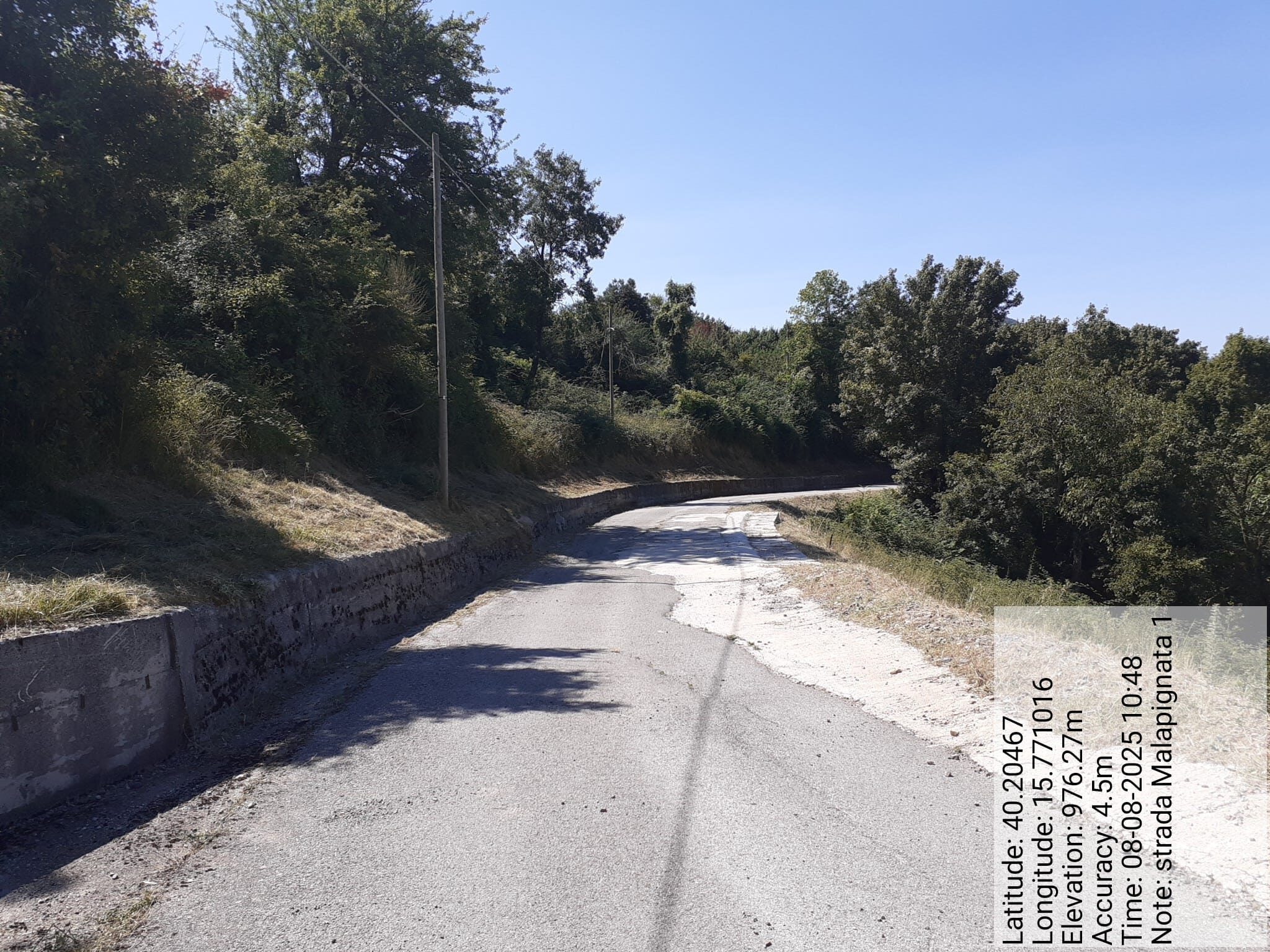 Galleria Fotografica Immagine