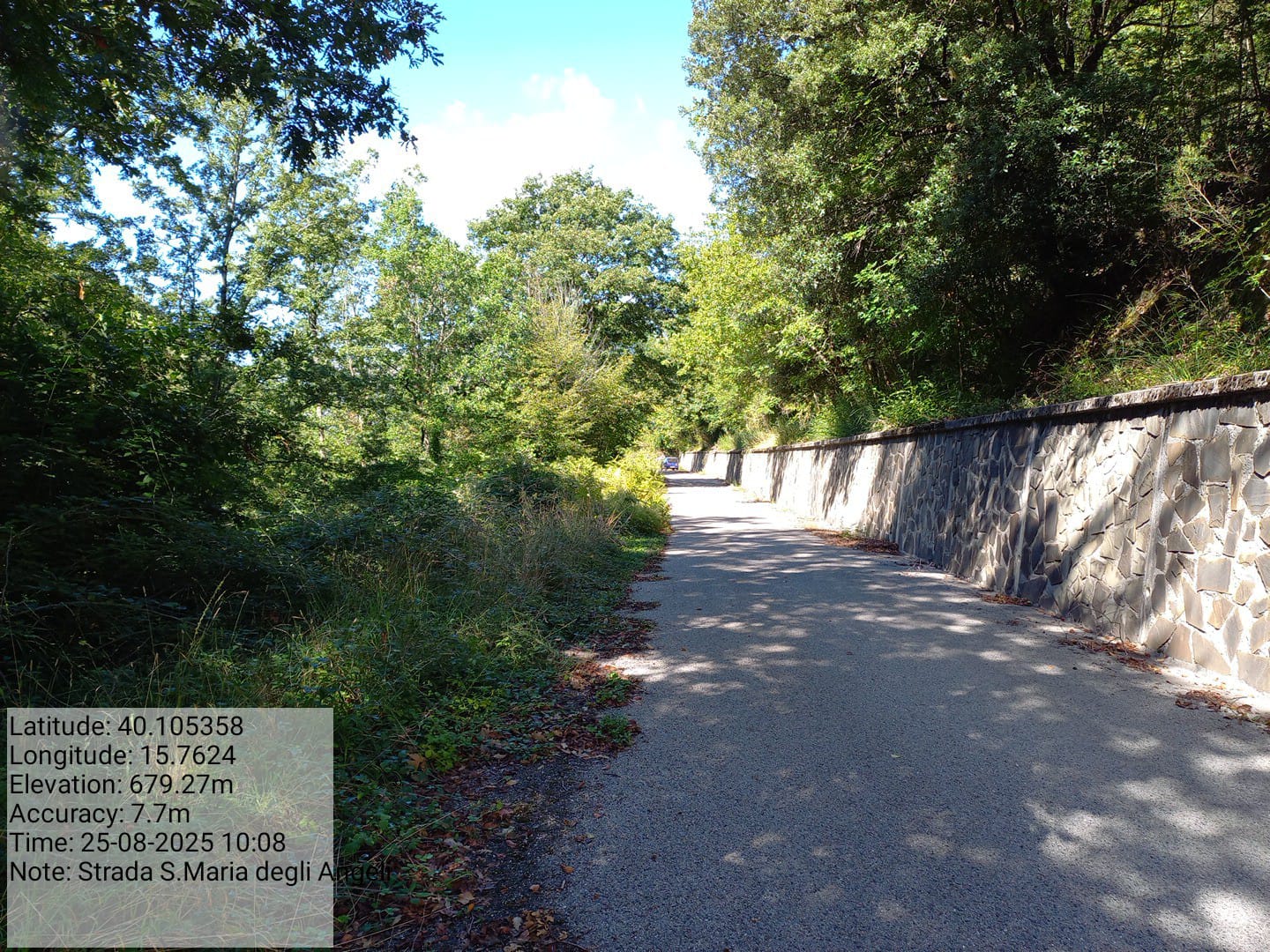 Galleria Fotografica Immagine