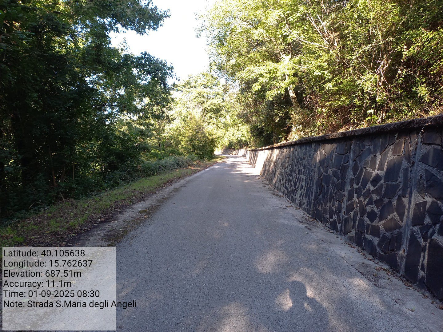 Galleria Fotografica Immagine