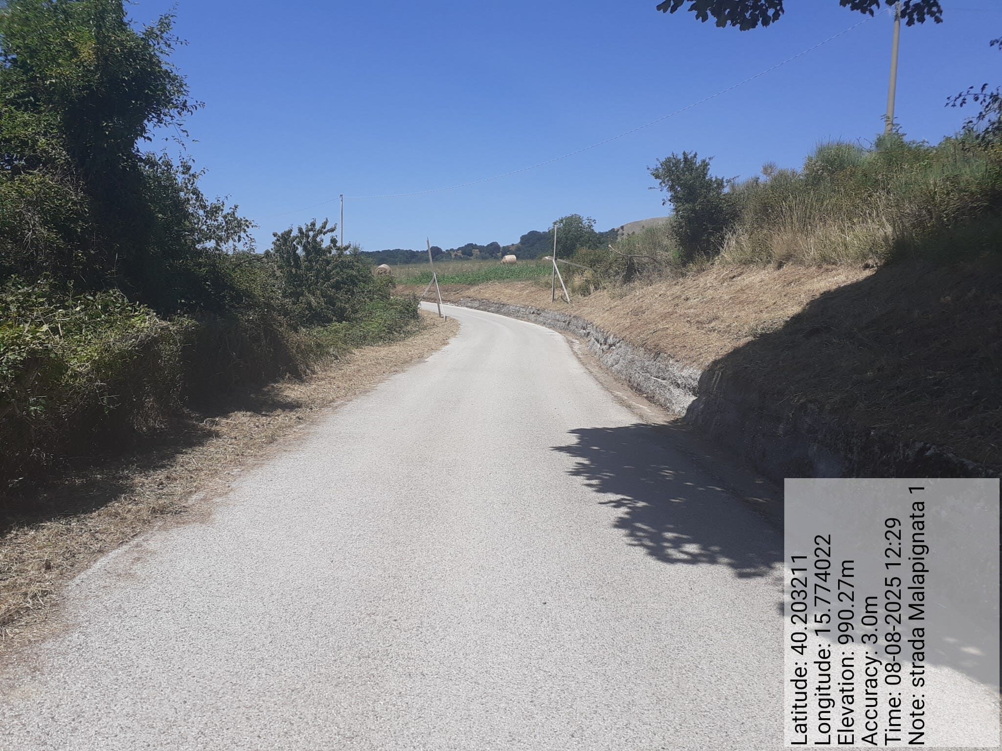 Galleria Fotografica Immagine