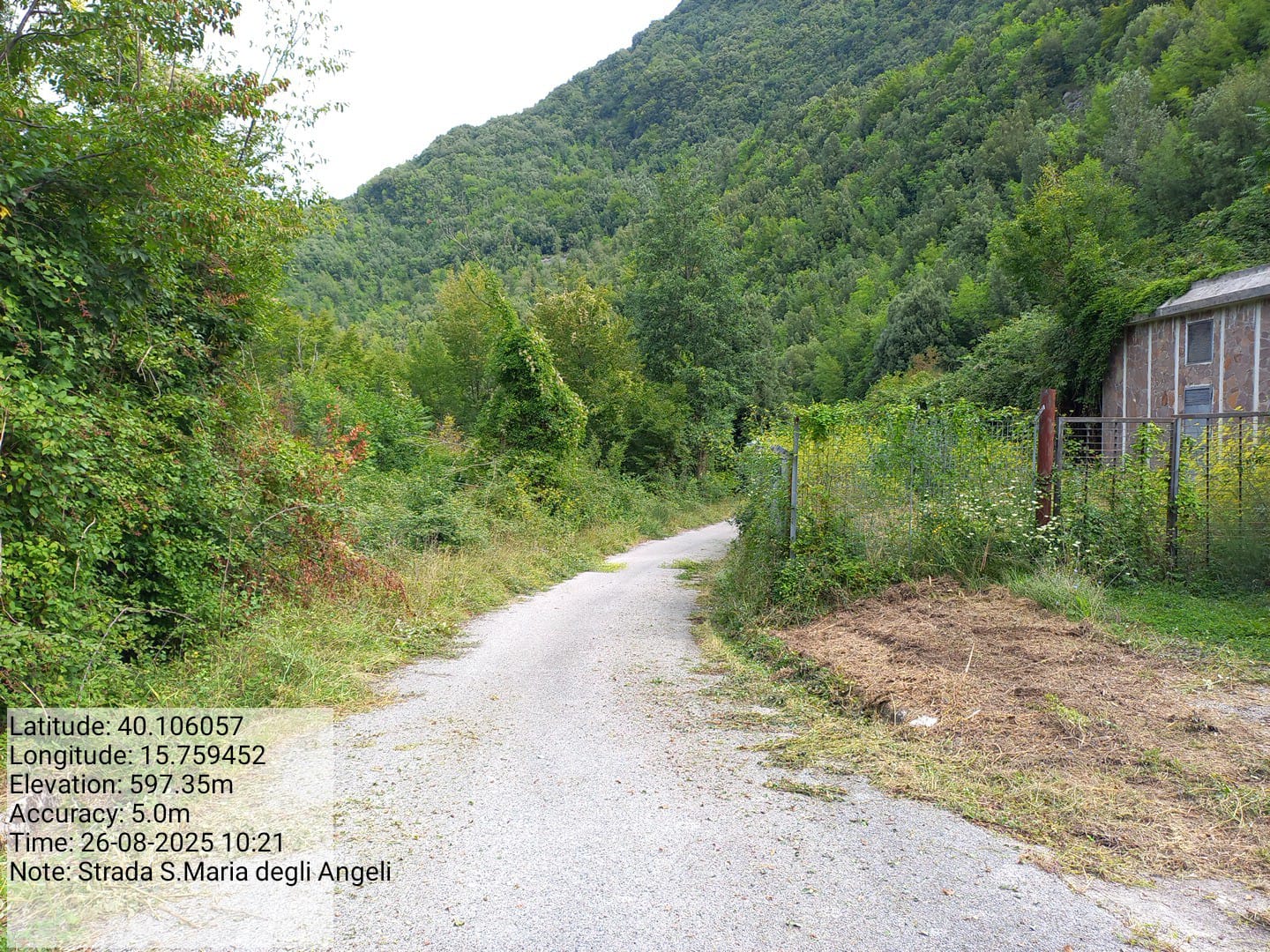 Galleria Fotografica Immagine